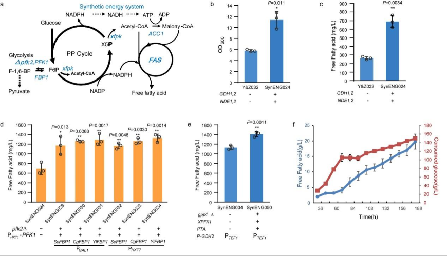 beat365在线体育app