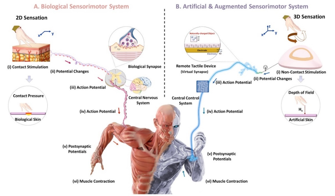 beat365在线体育app