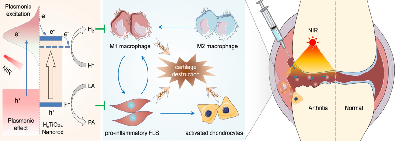 beat365在线体育app