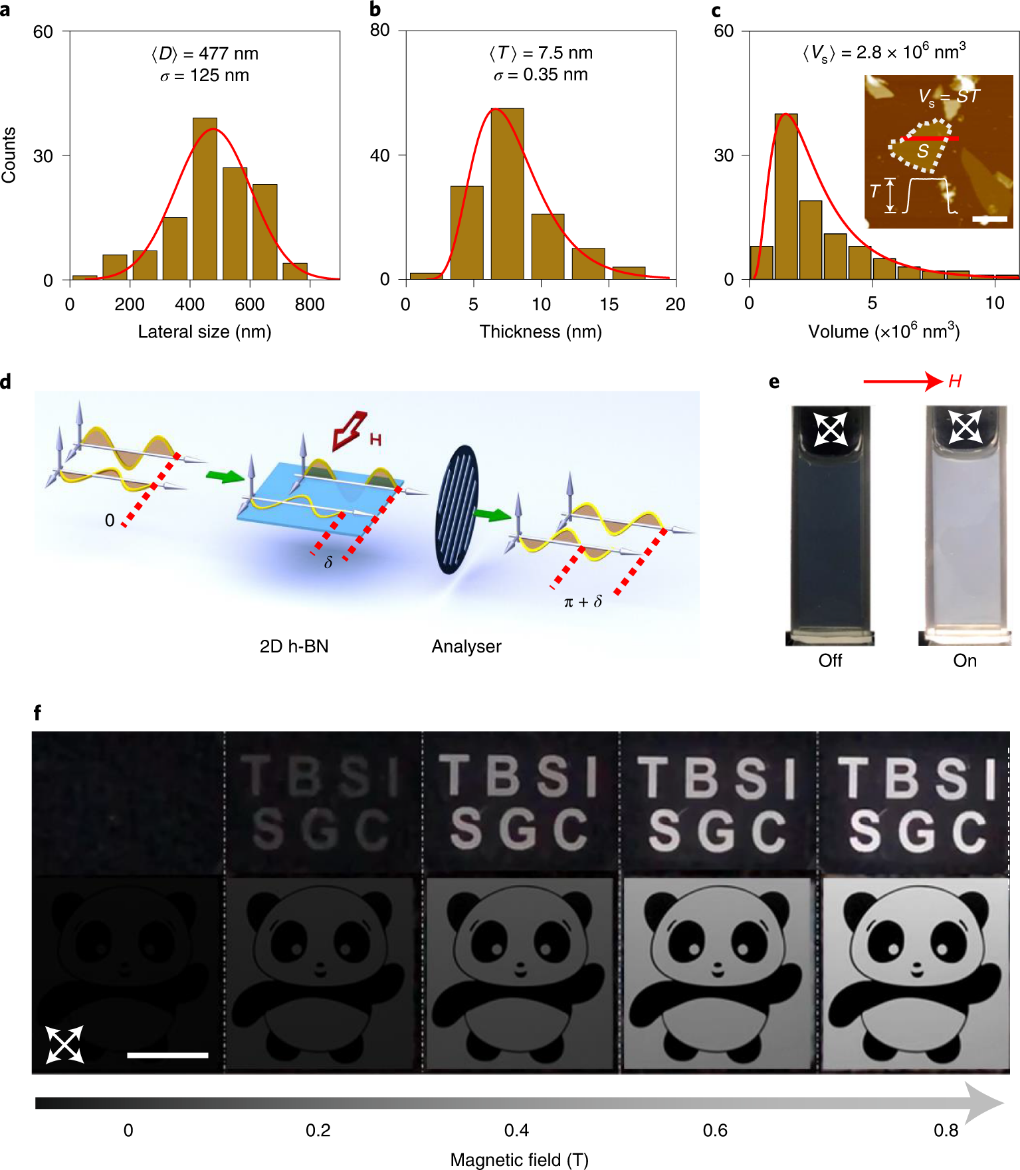 beat365在线体育app