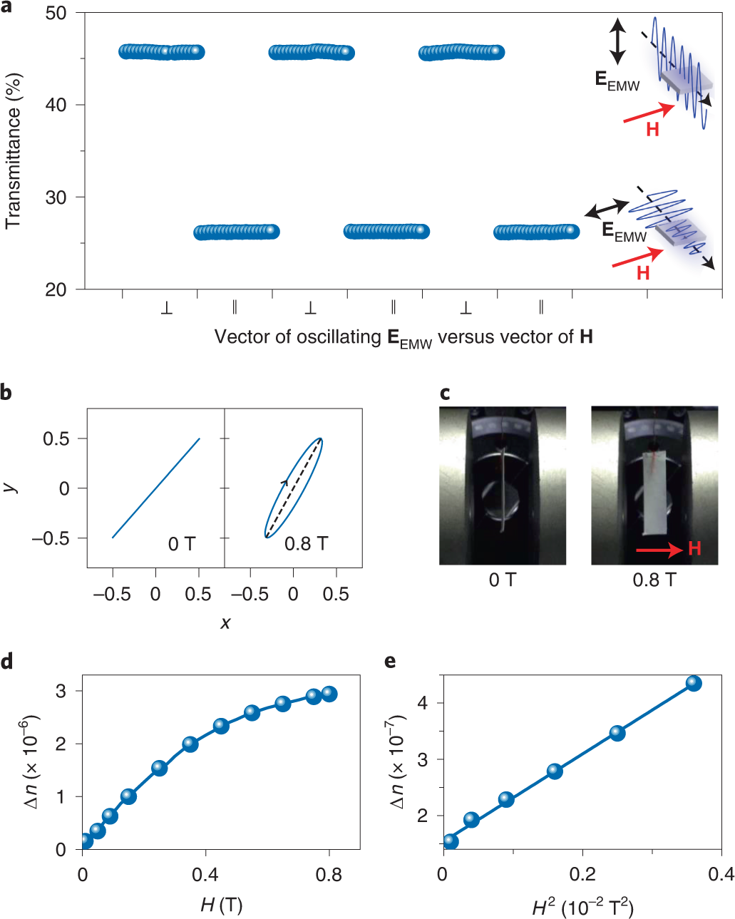 beat365在线体育app