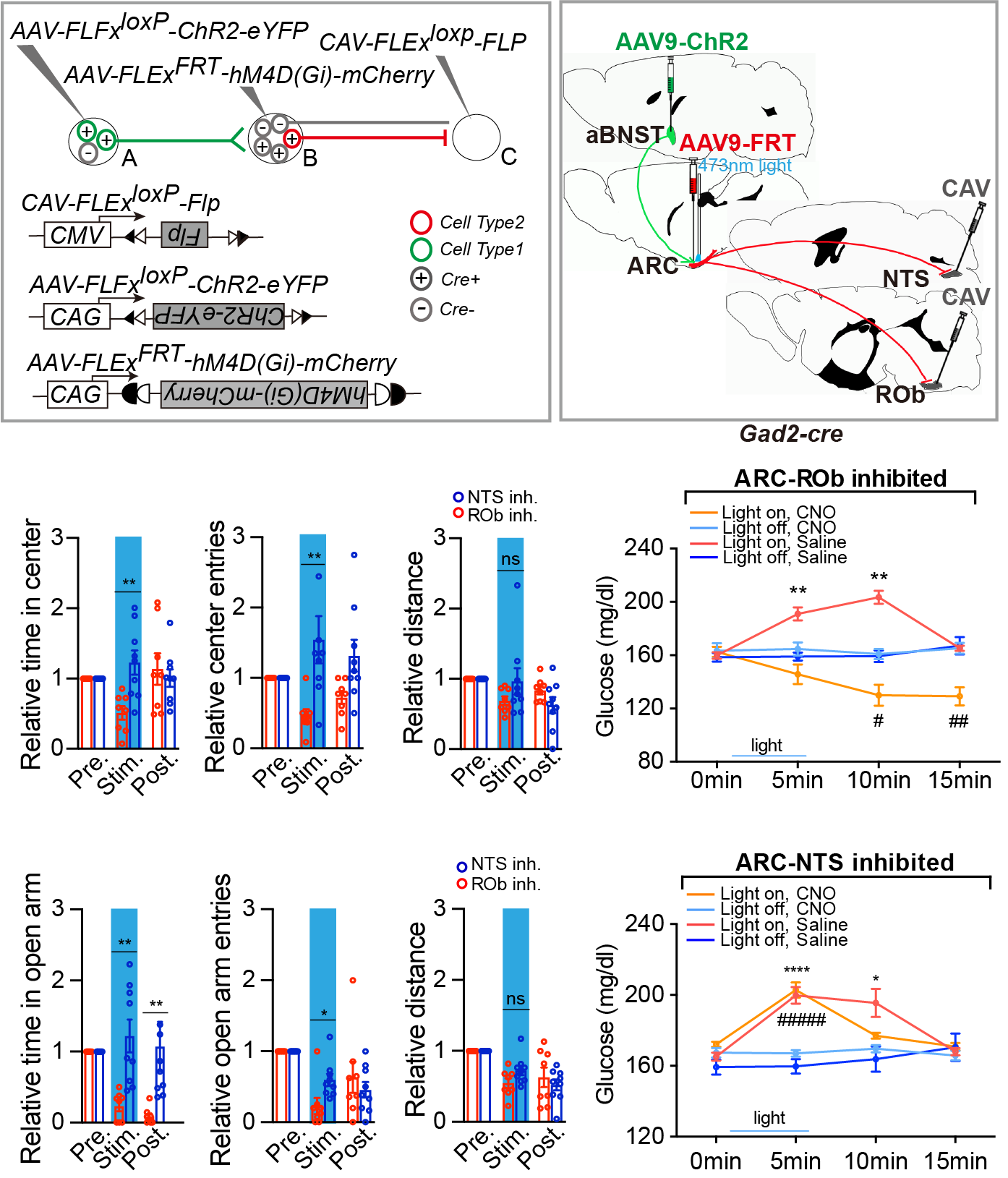 beat365在线体育app
