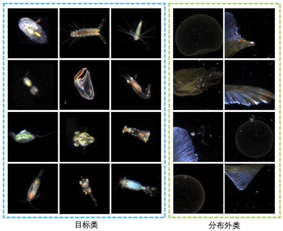 beat365在线体育app