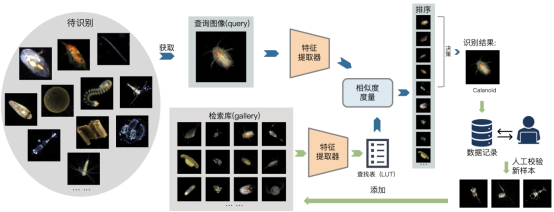 beat365在线体育app