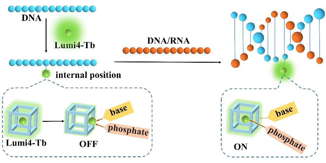 beat365在线体育app