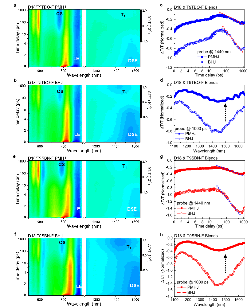 beat365在线体育app