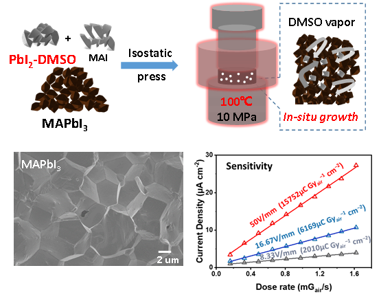 beat365在线体育app