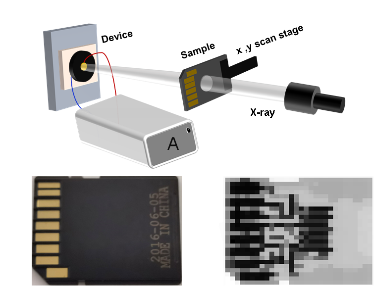 beat365在线体育app