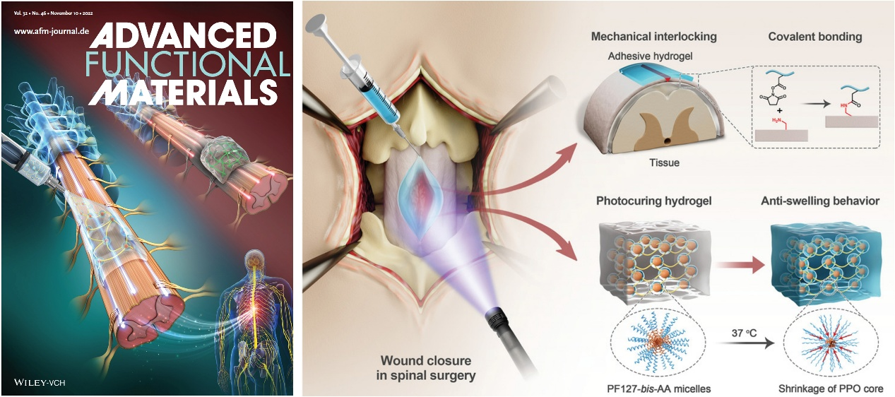 beat365在线体育app