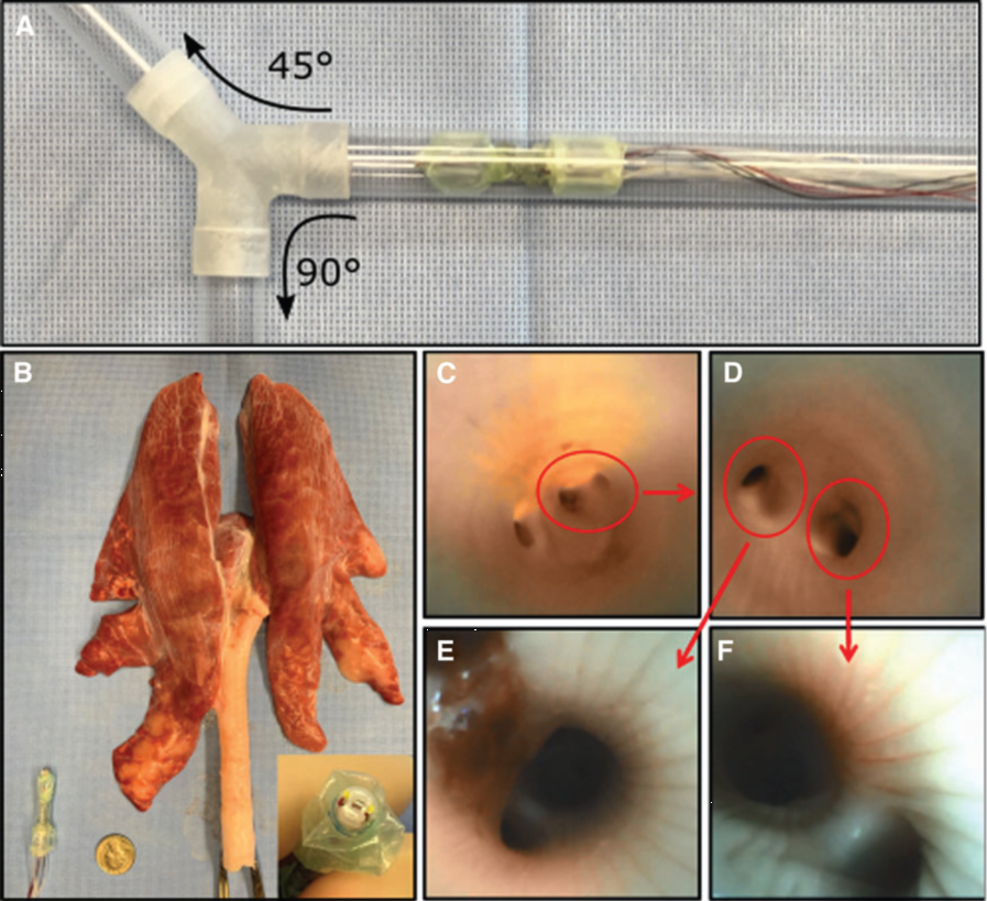 beat365在线体育app