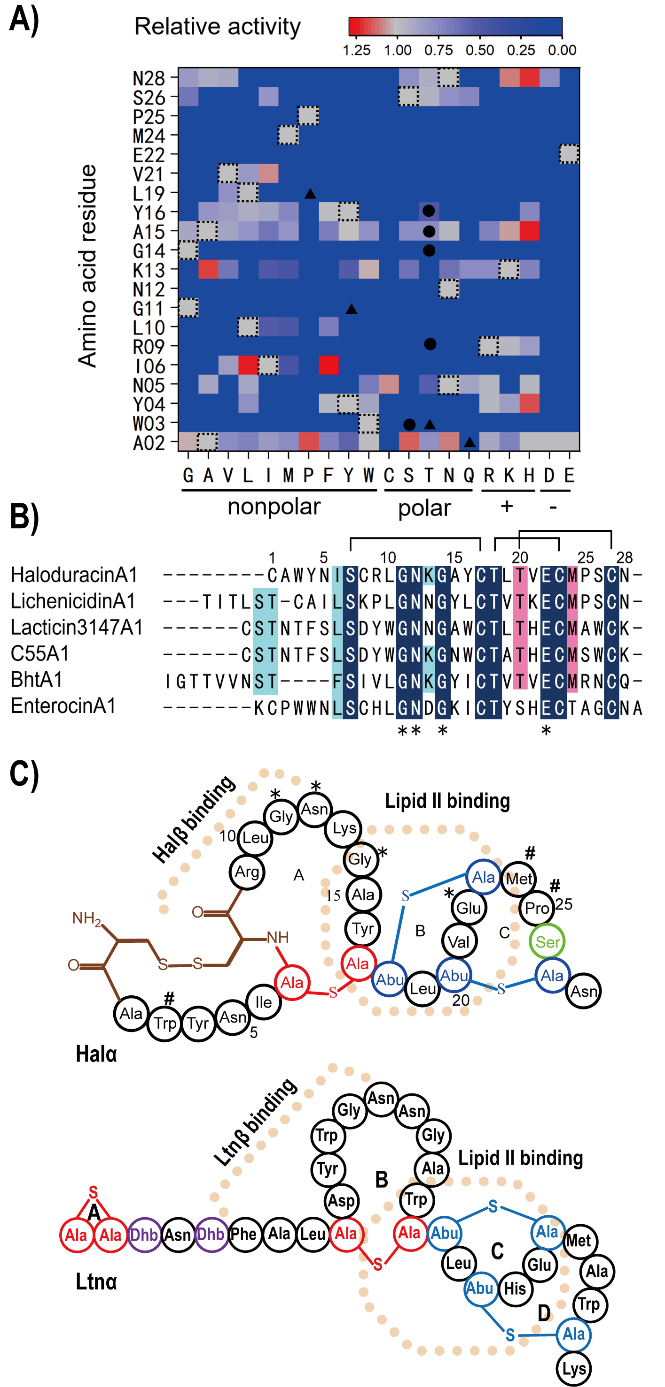 beat365在线体育app