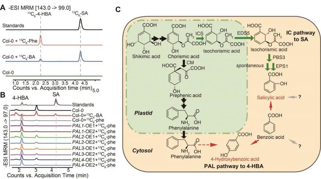 beat365在线体育app