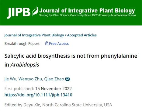 beat365在线体育app