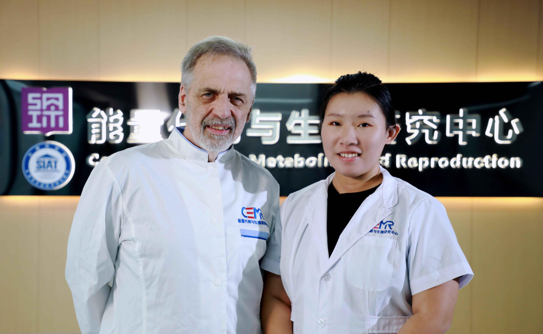 beat365在线体育app