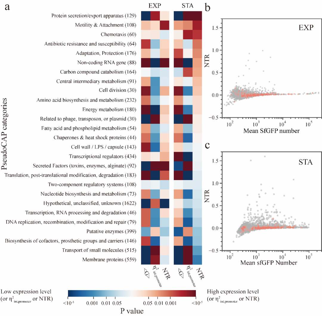 beat365在线体育app