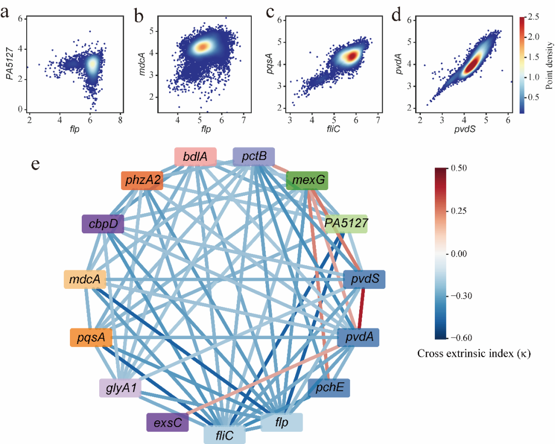 beat365在线体育app