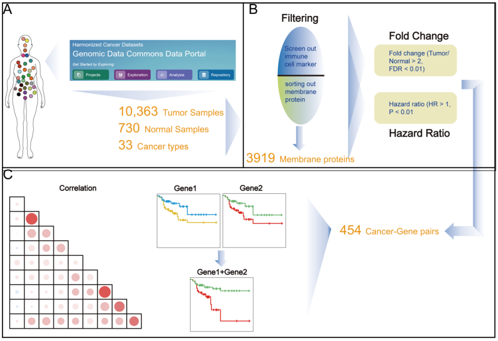 beat365在线体育app