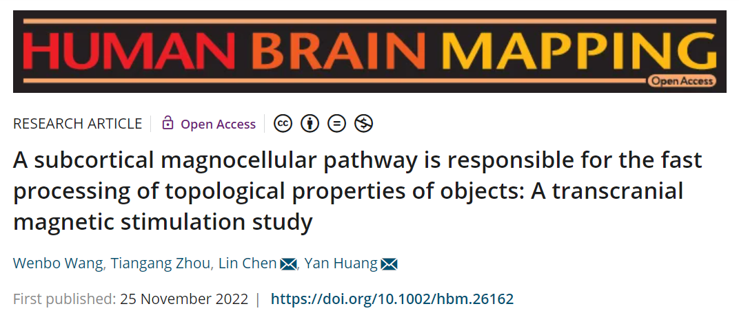 beat365在线体育app