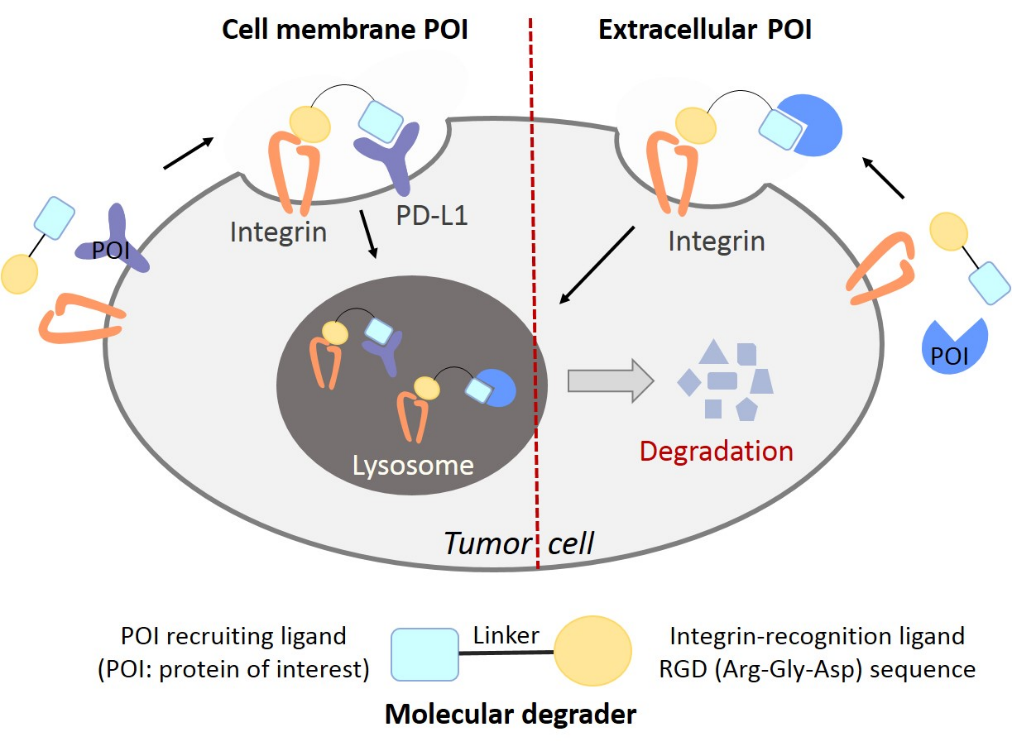 beat365在线体育app