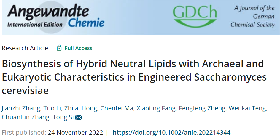 beat365在线体育app