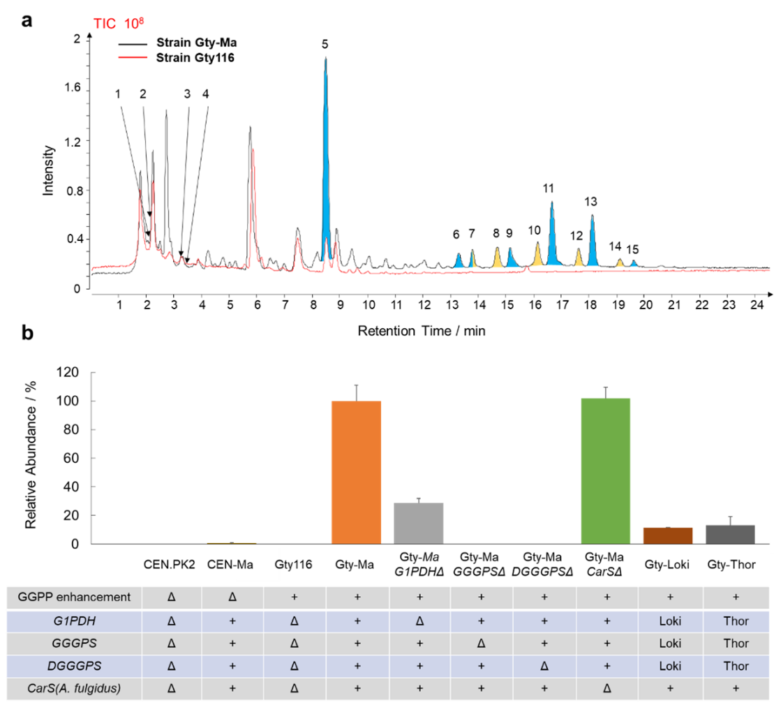 beat365在线体育app