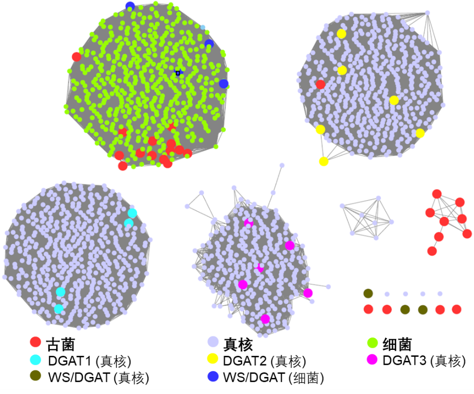 beat365在线体育app