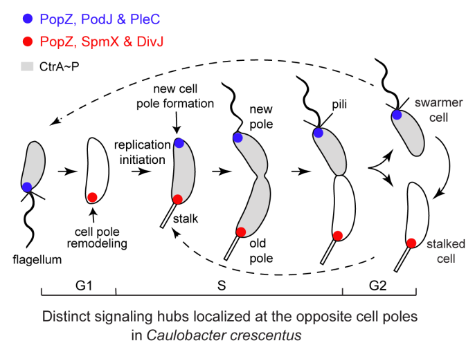 beat365在线体育app