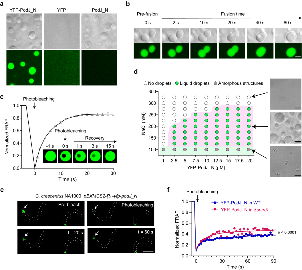 beat365在线体育app