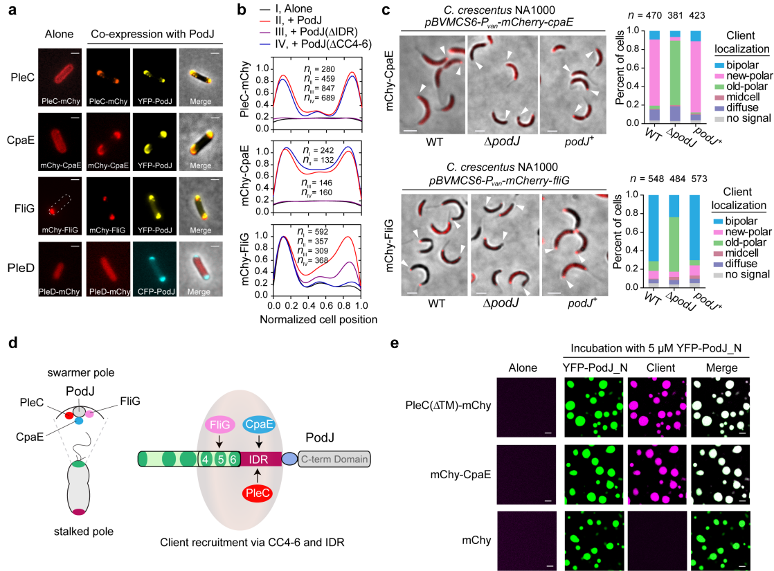 beat365在线体育app