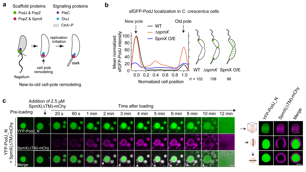 beat365在线体育app
