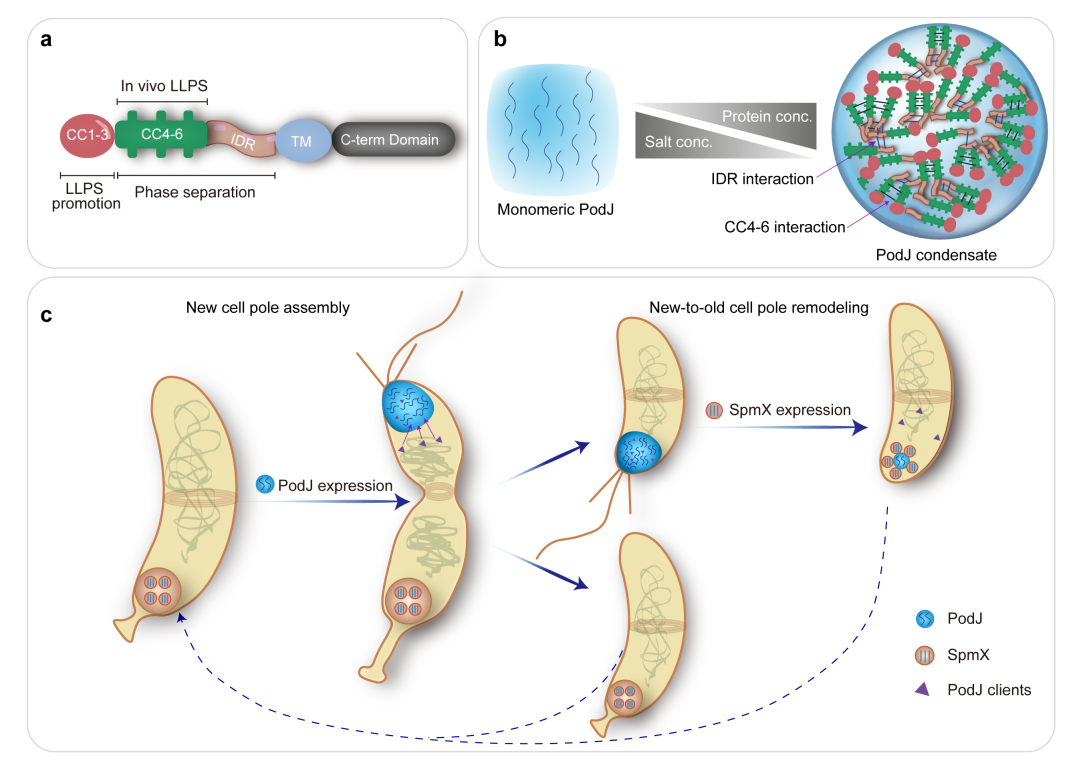 beat365在线体育app