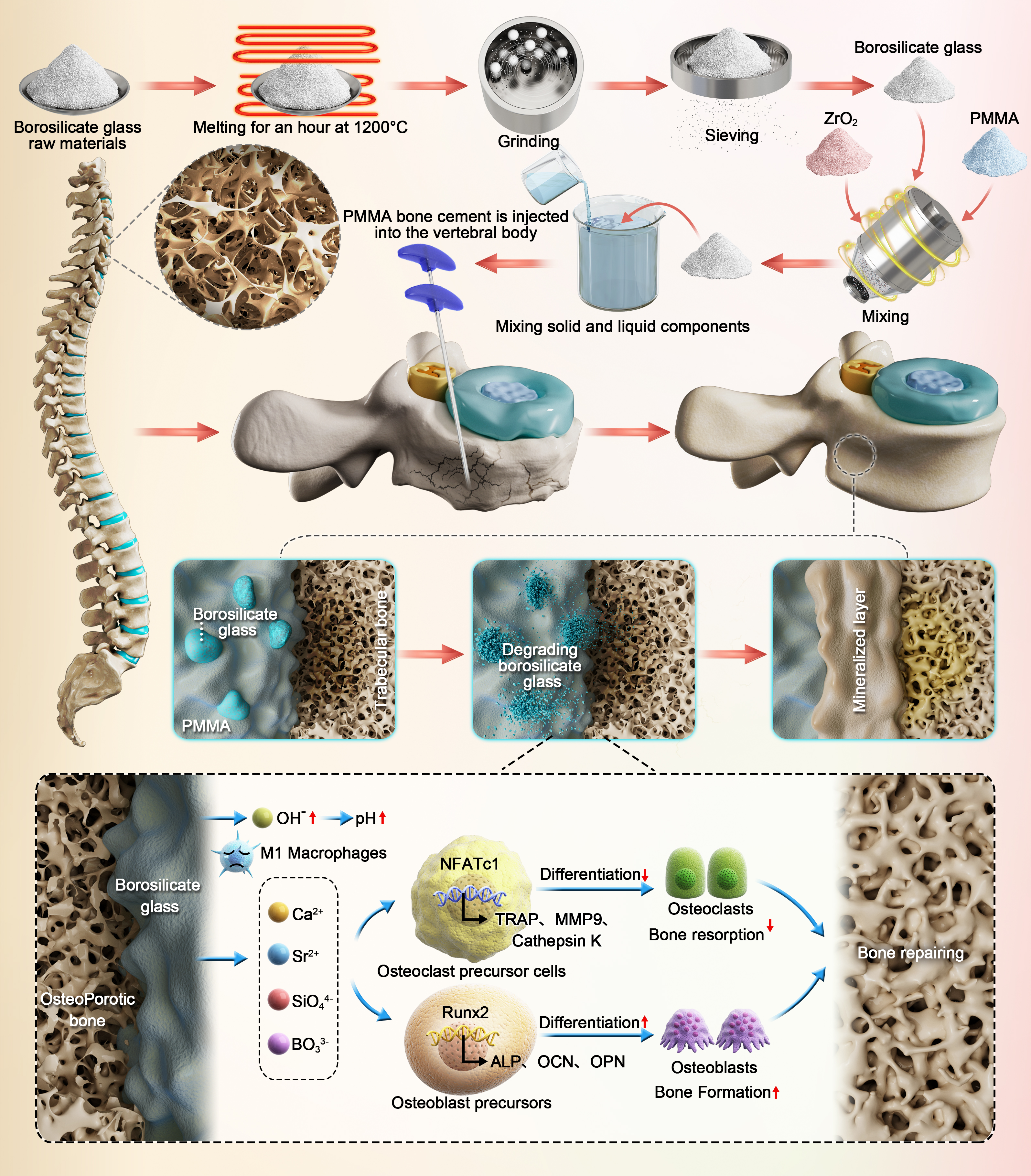 beat365在线体育app