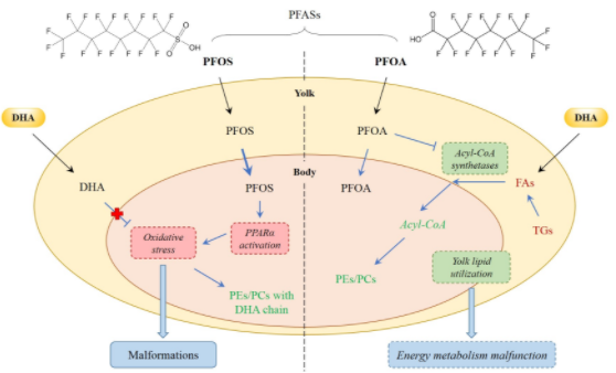 beat365在线体育app