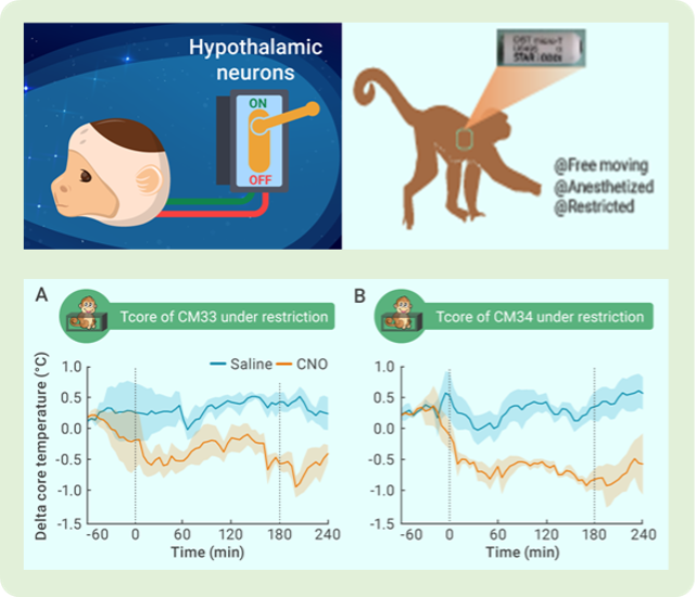 beat365在线体育app