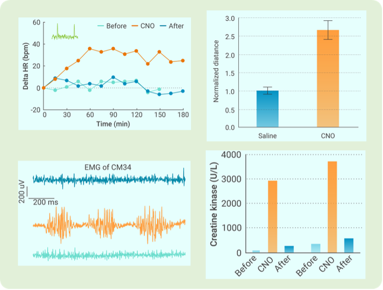 beat365在线体育app