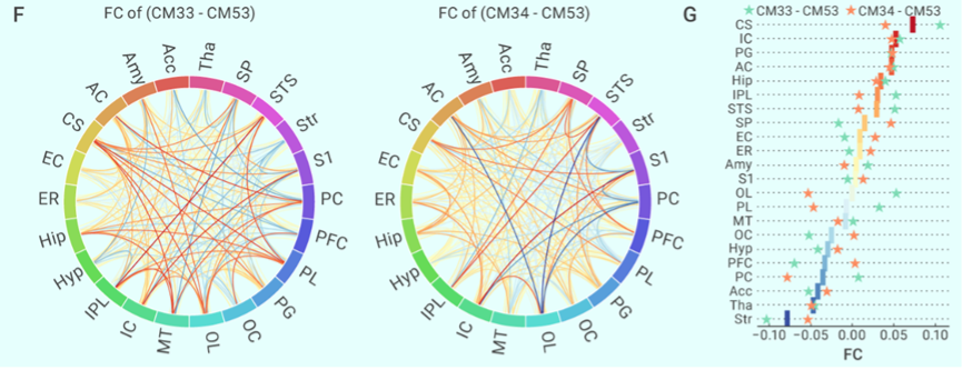 beat365在线体育app