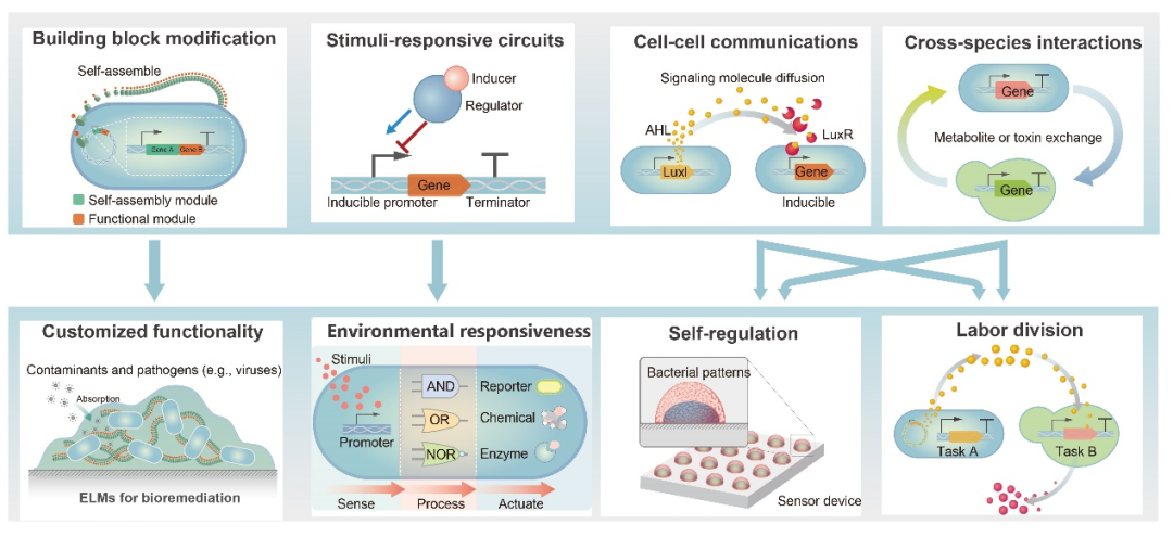 beat365在线体育app