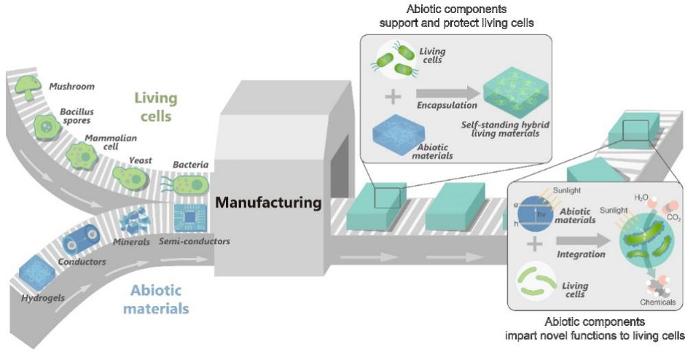 beat365在线体育app