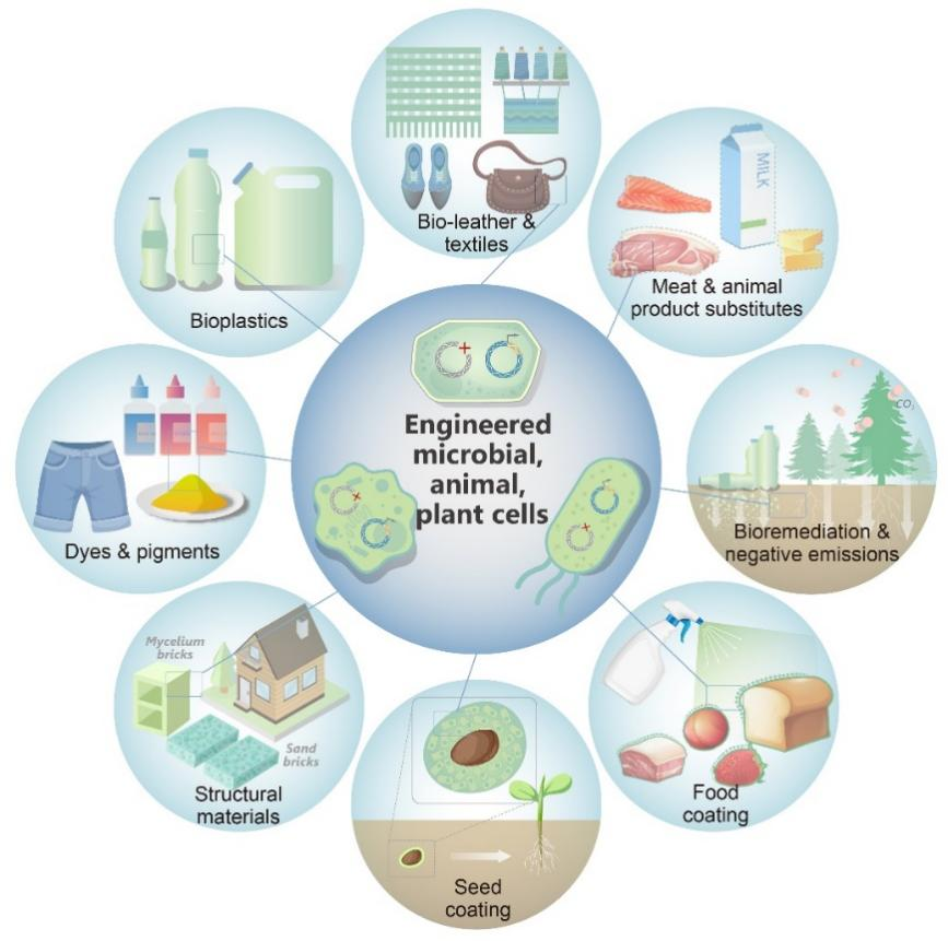 beat365在线体育app