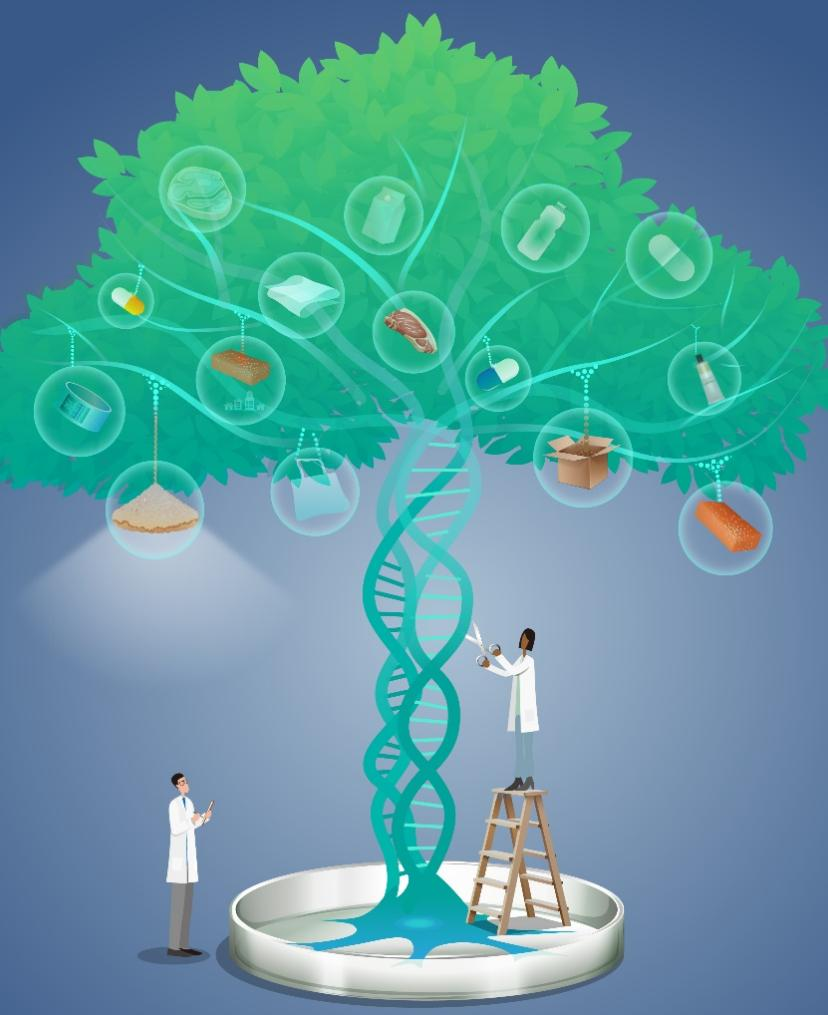 beat365在线体育app