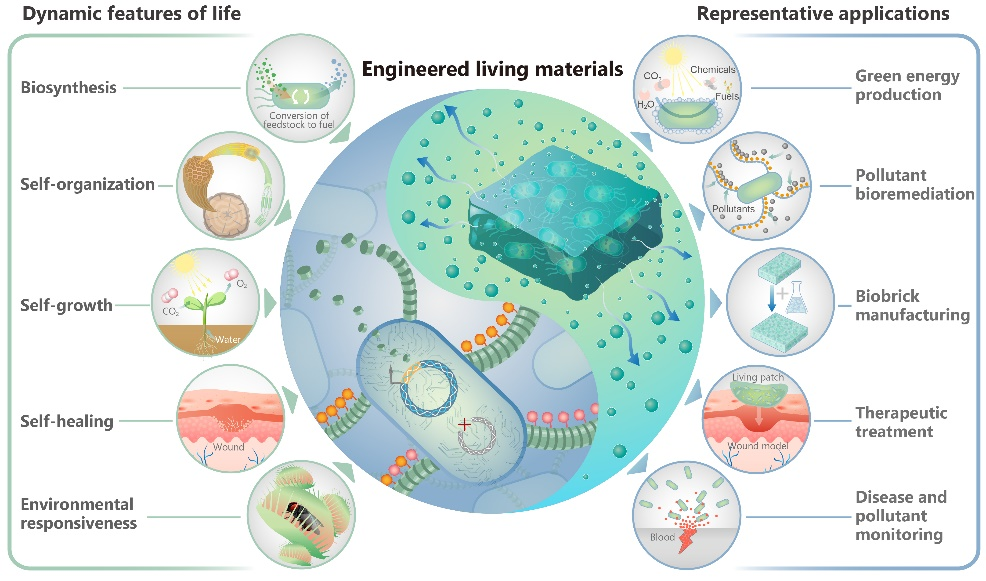 beat365在线体育app