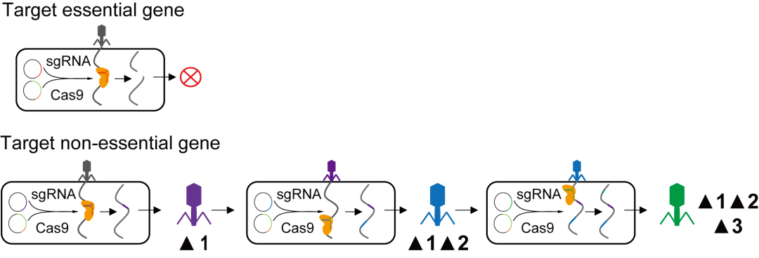 beat365在线体育app
