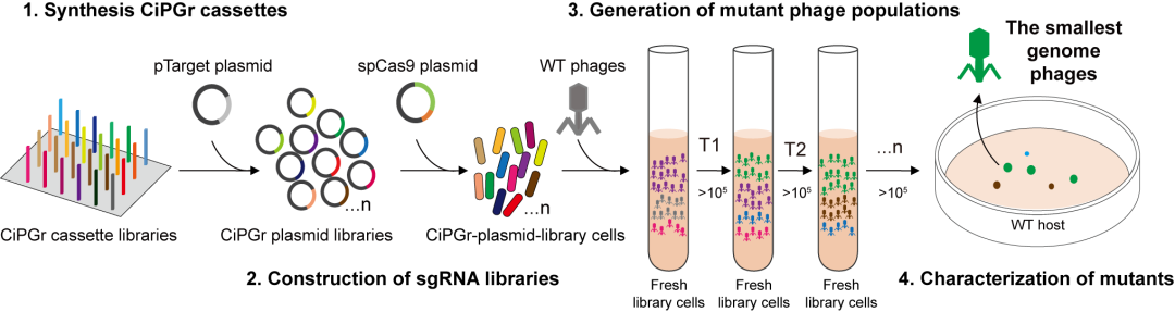 beat365在线体育app