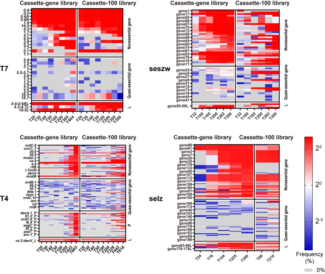 beat365在线体育app