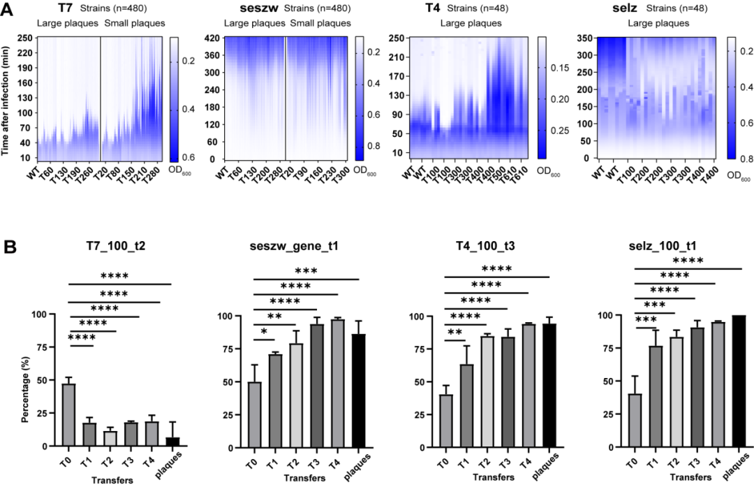 beat365在线体育app