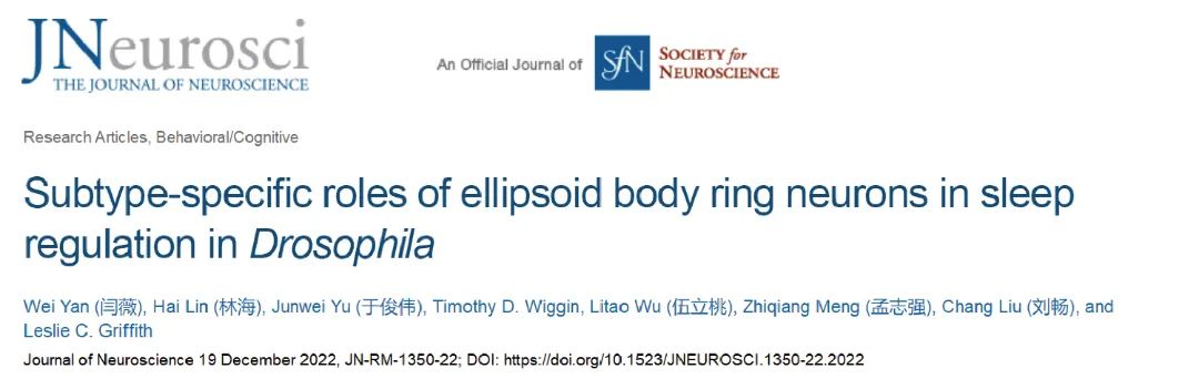 beat365在线体育app