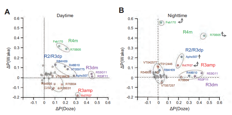 beat365在线体育app