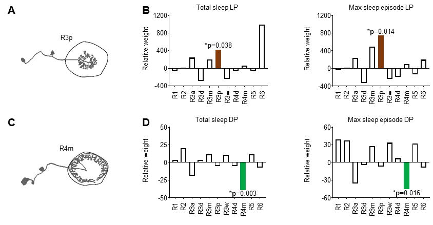 beat365在线体育app