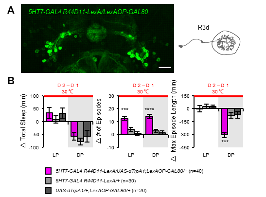 beat365在线体育app