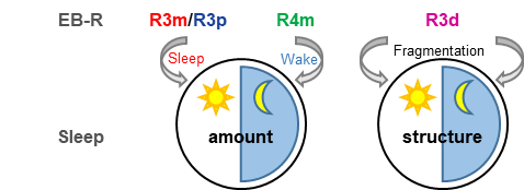 beat365在线体育app